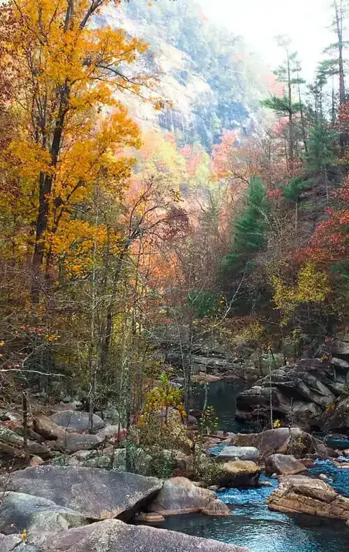 A cascading river with smooth rocks in the foreground and lush green trees lining the banks in Georgia, USA.